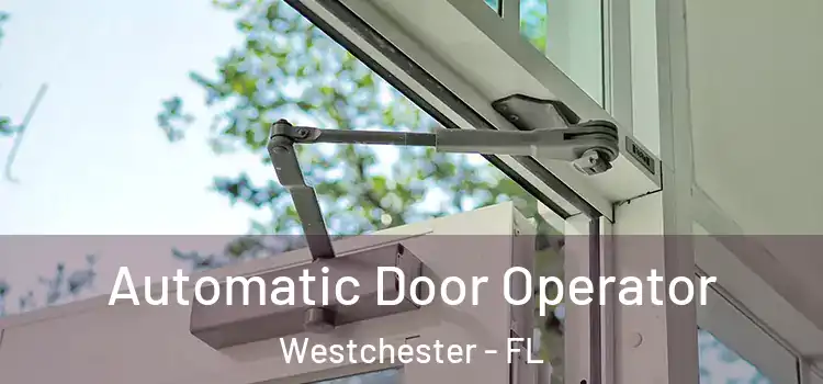 Automatic Door Operator Westchester - FL