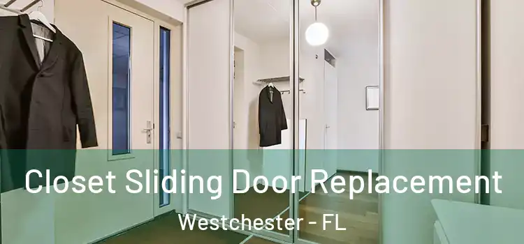 Closet Sliding Door Replacement Westchester - FL