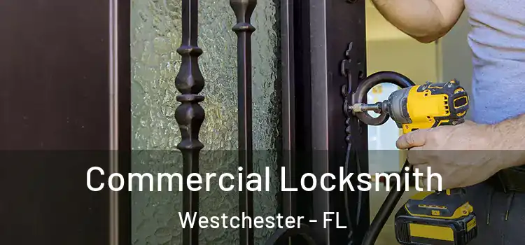 Commercial Locksmith Westchester - FL