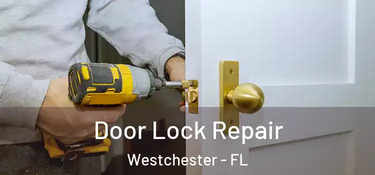 Door Lock Repair Westchester - FL