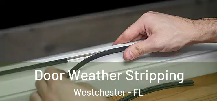 Door Weather Stripping Westchester - FL