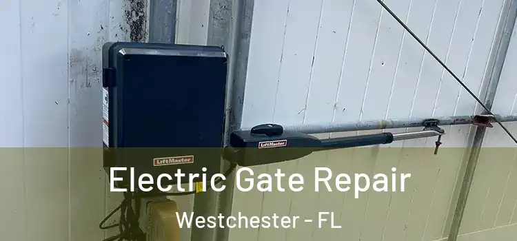 Electric Gate Repair Westchester - FL