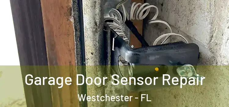 Garage Door Sensor Repair Westchester - FL
