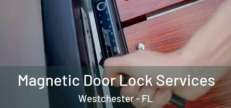  Magnetic Door Lock Services Westchester - FL