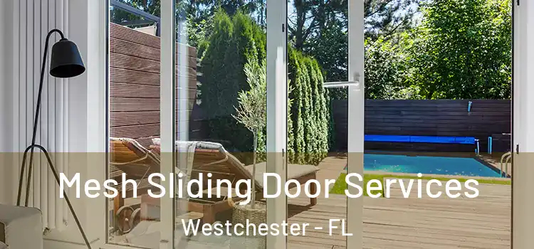 Mesh Sliding Door Services Westchester - FL