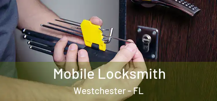 Mobile Locksmith Westchester - FL