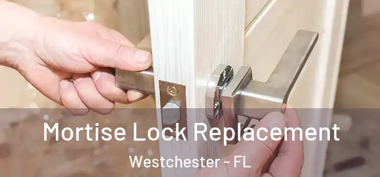 Mortise Lock Replacement Westchester - FL