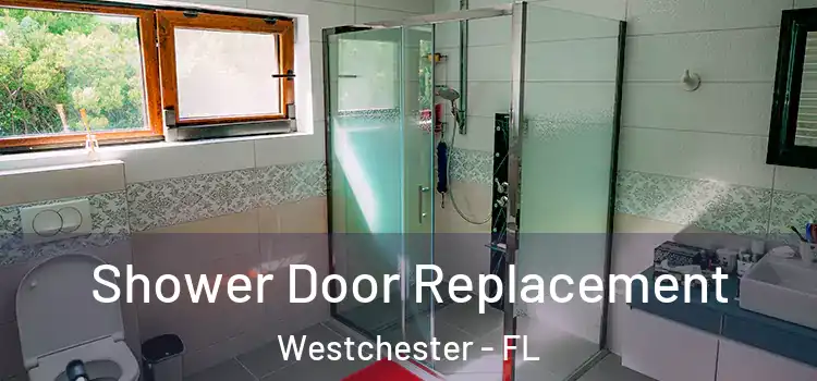 Shower Door Replacement Westchester - FL