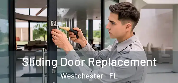 Sliding Door Replacement Westchester - FL